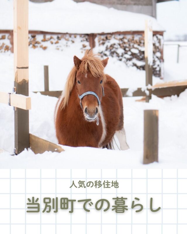 人気の移住地　当別町での暮らし🌲

札幌のすぐ隣、北海道当別町は…
☑災害リスクが少ない
☑子育て支援が手厚い
☑教育環境が整っている
☑札幌へ通える距離

というバランスのとれた町。
実際に子育て世代の人口が増えています。

今回は当別町での移住エピソードをご紹介します。

【当別町公式サイト】
https://www.town.tobetsu.hokkaido.jp/index2.html

👉 北海道での移住・家づくり情報はプロフィールから

┈┈┈┈┈┈┈┈┈┈┈┈┈┈┈
もっと移住事例を読みたい方は↓↓↓

📣Webサイト『北海道に移住して家を建てる｜iezoom移住版』は @iezoom_ijuのプロフィール欄URLからご覧ください

【移住ストーリー】からご覧いただけます。
┈┈┈┈┈┈┈┈┈┈┈┈┈┈┈
#iezoom
#いえズーム移住版
#当別町
#辻野建設工業
#北海道移住